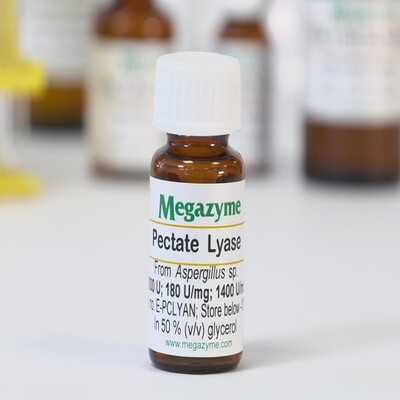 ENZIMA PECTATO LIASE (ASPERGILLUS SP.)