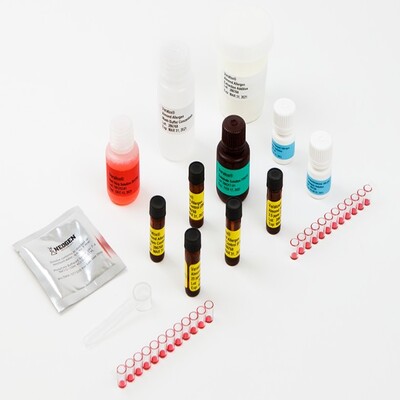 KIT VERATOX AMENDOA ALERG (0-25PPM) 48 MICROPOCOS