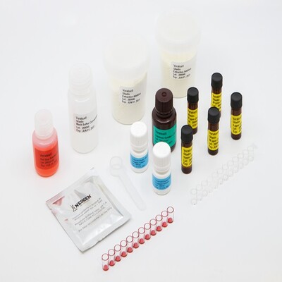 KIT VERATOX GLUTEN ALERG (0-50PPM) 48 MICROPOCOS